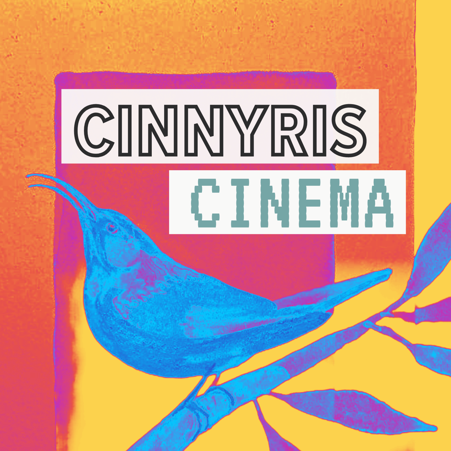 cinnyris cinema Norwich logo